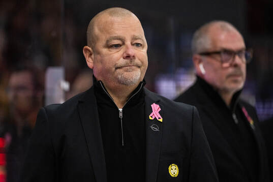 Brynäs tränare Niklas Gällstedt