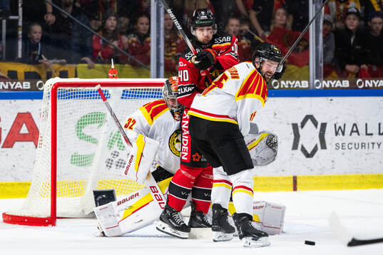 Brynäs målvakt Ludvig Persson, Luleås David Lilja och