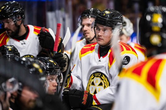 Brynäs Theo Lindstein