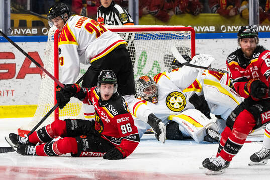 Brynäs målvakt Ludvig Persson