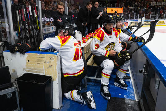 Brynäs Greg Scott har ont