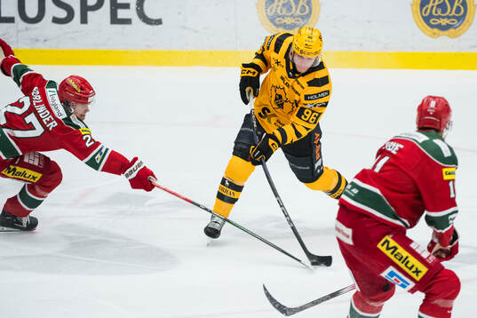 Skellefteås Rickard Hugg