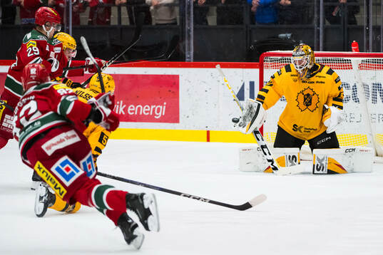 Skellefteås målvakt Linus Söderström