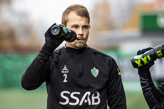 Brages Alexander Zetterström