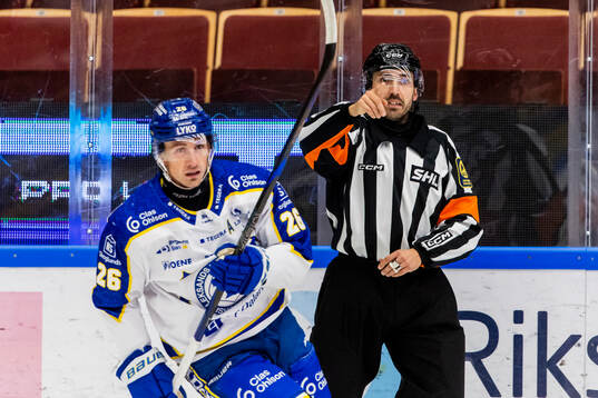 Domare Mattias Enroth