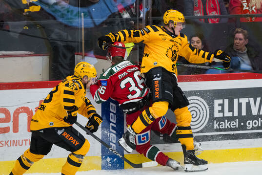 MoDos Sebastian Ohlsson och Skellefteås Rasmus Bergqvist