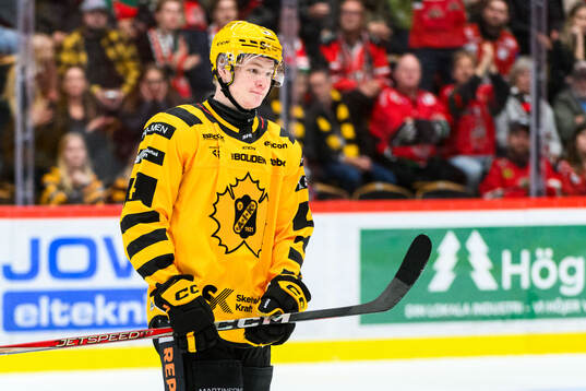 Skellefteås Rasmus Bergqvist lämnar isen