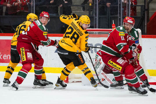 Skellefteås Michael Brandsegg-Nygård