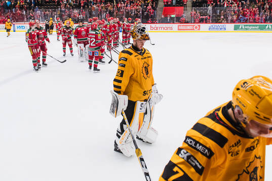 Skellefteås målvakt Linus Söderström deppar