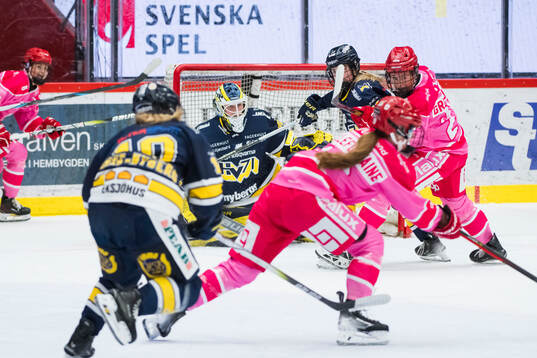 HV71s målvakt Lina Van Noort