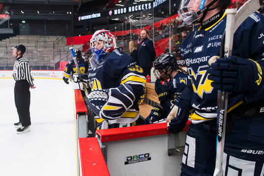 HV71s målvakt Viktorie Svejdova