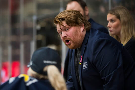 HV71s tränare Thomas Pettersen