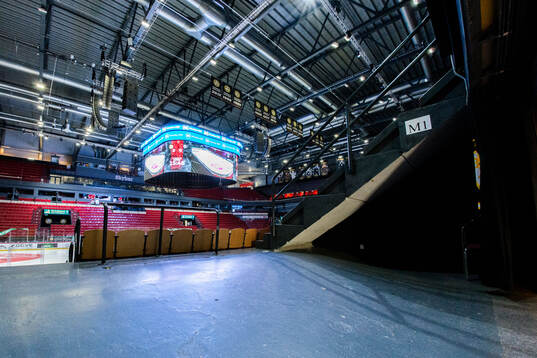 Monitor ERP Arena