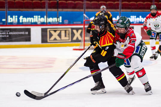 Brynäs Tilde Sundnäs Grillfors och Frölundas Sanni