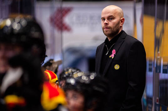 Brynäs tränare Filip Eriksson