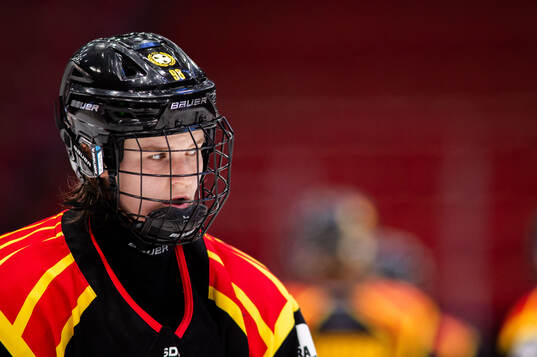 Brynäs Tilde Sundnäs Grillfors deppar