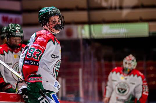 Bläddra bland fler bilder av Ishockey, SDHL, Brynäs - Frölunda