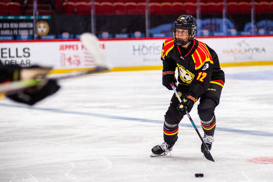 Brynäs Mina Waxin