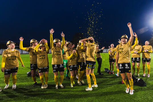 Elfsborgs spelare jublar