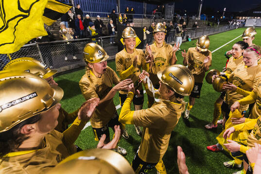 Elfsborgs spelare jublar