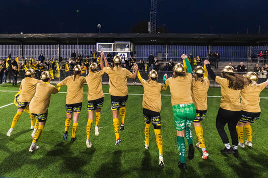 Elfsborgs spelare jublar