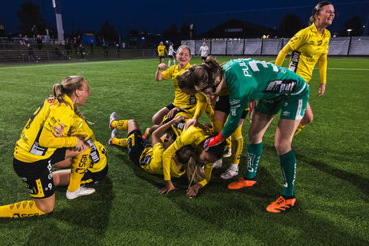 Elfsborgs spelare jublar