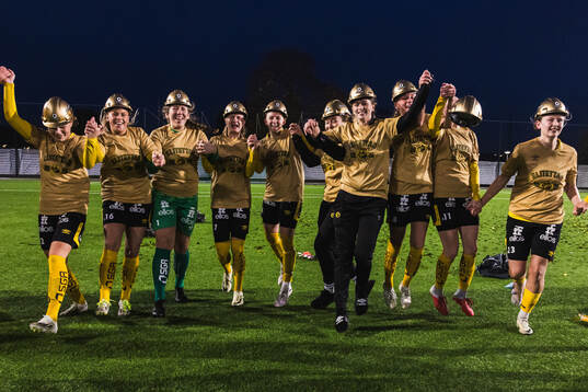 Elfsborgs spelare jublar
