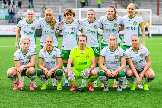 Hammarby startelva