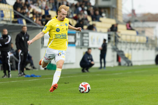 Falkenbergs Linus Borgström