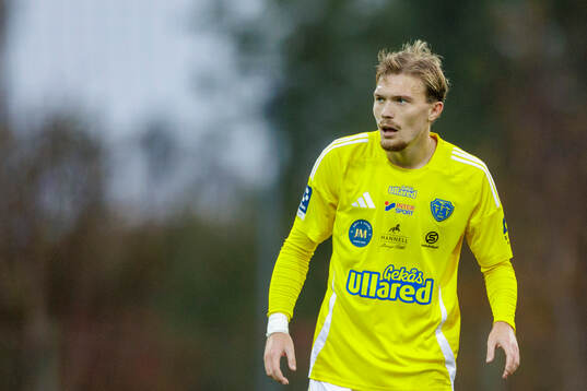 Falkenbergs Hugo Tilly