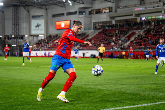 Helsingborgs Ervin Gigovic