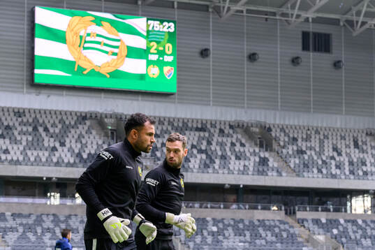 Hammarbys målvakt Warner Hahn