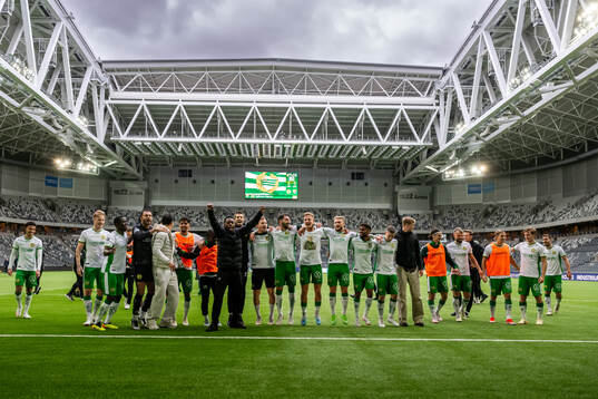 Hammarbys spelar jublar