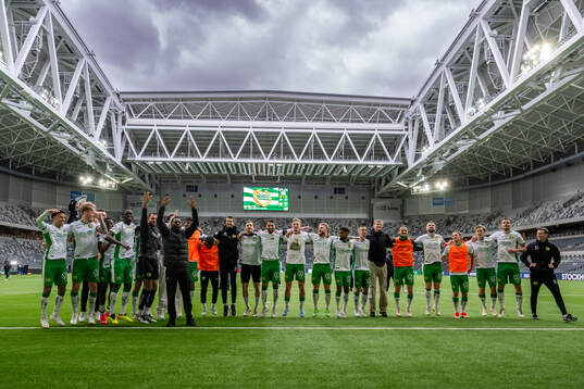 Hammarbys spelar jublar