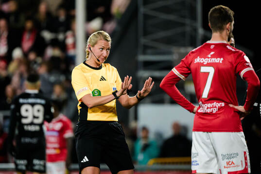 Domare Tess Olofsson