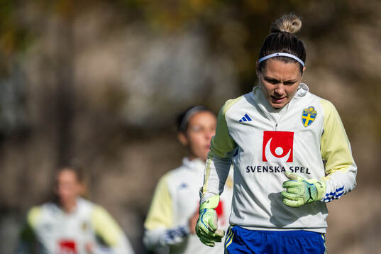 Goalkeeper Jennifer Falk of the Swedish women's national
