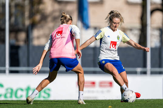 Rebecka Blomqvist of the Swedish women's national football