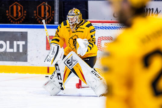 Skellefteås målvakt Linus Söderström på uppvärmningen