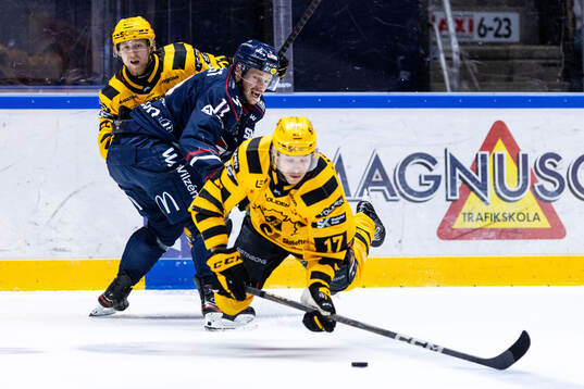 Linköpings Henrik Törnqvist och Skellefteås Pär Lindholm