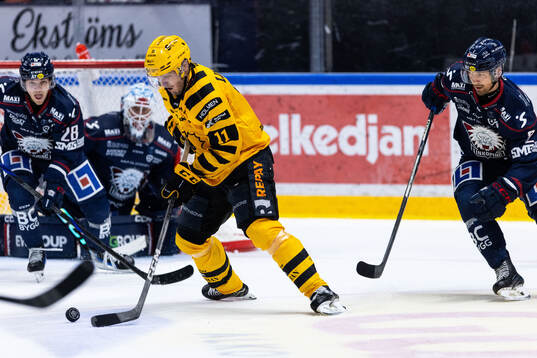 Skellefteås Max Lindholm