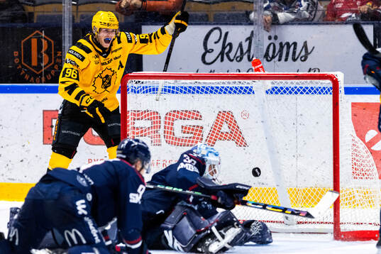 Skellefteås Rickard Hugg jublar