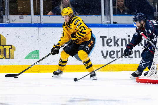 Skellefteås Jonathan Pudas och Linköpings Oscar Fantenberg