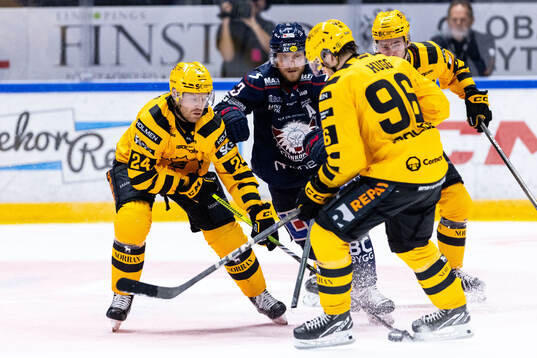 Skellefteås Oscar Lindberg och Linköpings Linus Hultström