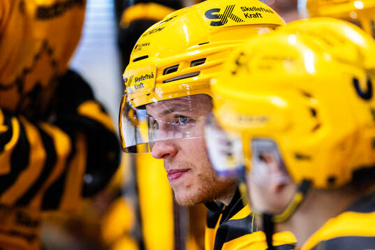 Skellefteås Rickard Hugg