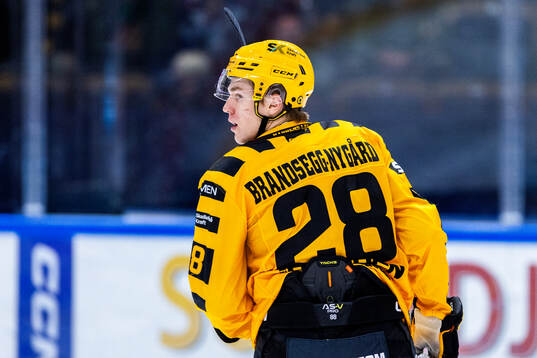 Skellefteås Michael Brandsegg-Nygård