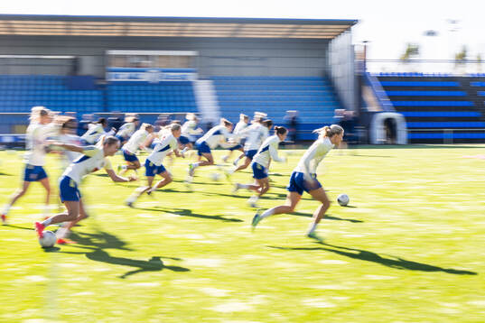 Players of the Swedish women's national football team