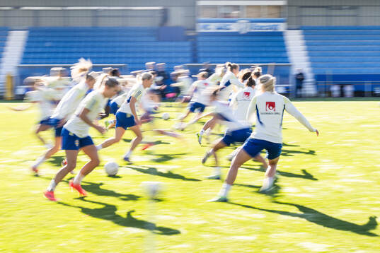Players of the Swedish women's national football team