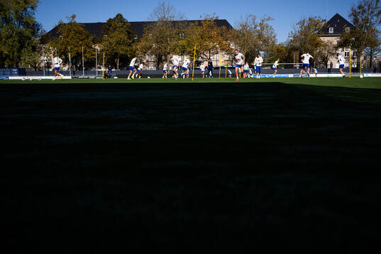 Players of the Swedish women's national football team