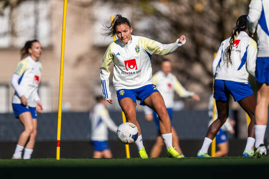 Johanna Rytting Kaneryd of the Swedish women's national