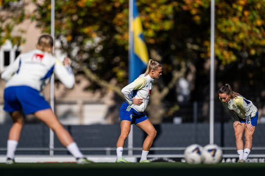 Fridolina Rolfö and Kosovare Asllani of the Swedish
